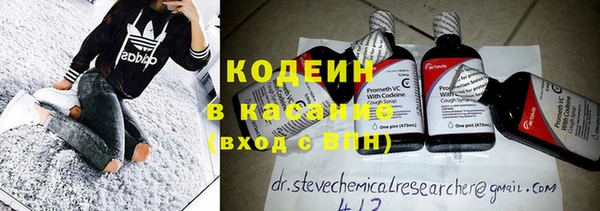 дурь Кодинск