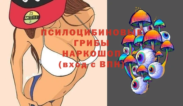 дурь Кодинск