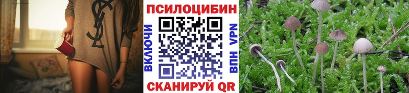 Купить где  Высоковск  Галлюциногенные грибы Psilocybe 